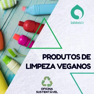 Imagem de capa para o Curso online Oficina Sustentável - Produtos de limpeza veganos 