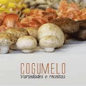 Imagem de capa para o Ebook Cogumelo: Variedades e Receitas