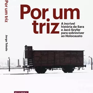 Imagem de capa para o Ebook Por um triz