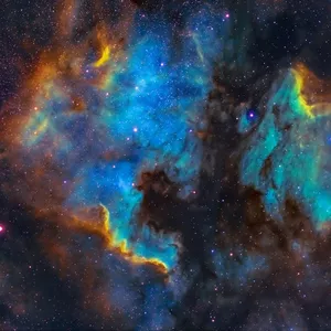 Cover image for Online course Mind wide open