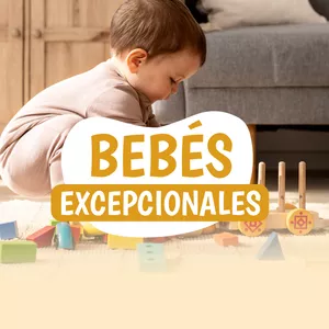 Imagen de portada para Curso online Bebes Excepcionales FB