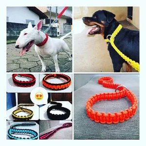 Imagem do curso Curso confecção de guias e coleiras