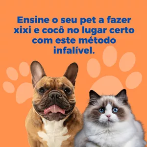 Imagem de capa para o Ebook Xixi e Cocô no lugar certo
