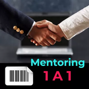 Imagen de portada para Curso online Mentoring 1 A 1 