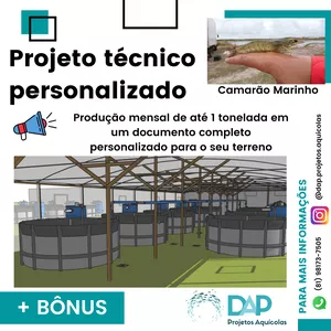 Imagem de capa para o Ebook  Projeto técnico Personalizado – Produção intensiva de 1 tonelada/mês de Camarão marinho