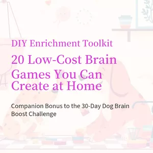 Cover image for Ebook DIY Enrichment Toolkit
