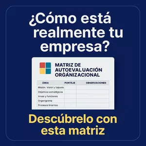 Imagen de portada para Ebook Matriz de autoevaluación organizacional – Otium123