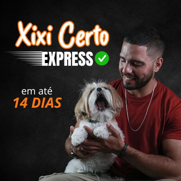 Capa do curso 