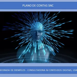 Imagem de capa para o Curso online Plano de Contas SNC
