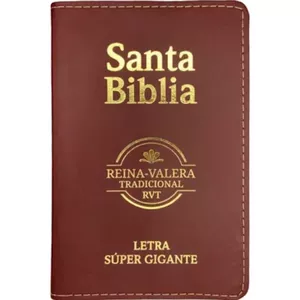 Imagen de portada para Curso online Santa biblia