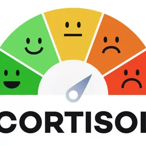 Imagen de portada para Ebook Reset Hormonal: 30 Días para Equilibrar tu Cuerpo