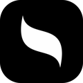 Intellium University logo