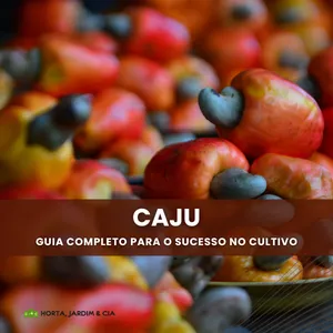 Imagem de capa para o Ebook Domine o Cultivo do Caju Agora: Transforme Seu Quintal em um Oásis de Sabor