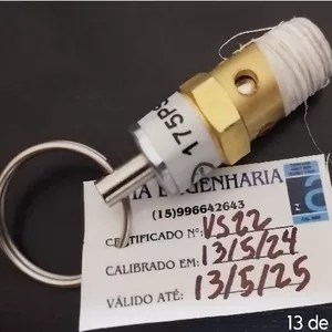 Imagem de capa para o Curso online Válvula de segurança 175 PSI com certificado de calibração