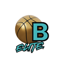 Next Level Coaching Academy logo