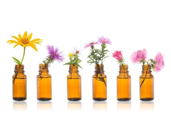 CURSO COMPLETO FLORAIS DE BACH