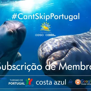 Imagem de capa para o Curso online Subscrição Membro