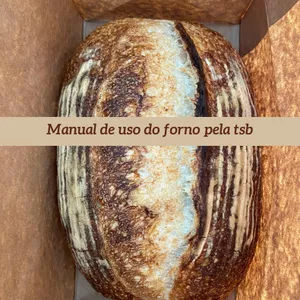 Imagem de capa para o Ebook Manual para uso forno industrial elétrico nacional 