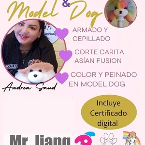 Imagen de portada para Curso online Taller Online color aerografía y Model Dog