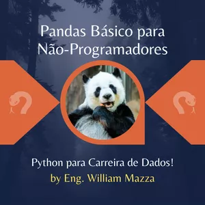 Pandas Básico para Não-Programadores vale a pena? é bom?