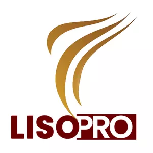 Imagen de portada para Curso online Liso PRO