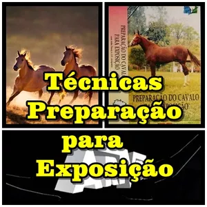Imagem de capa para o Curso online Preparação do Cavalo Mangalarga  para Exposição - com João Fleury e José Oswaldo Junqueira