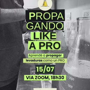 Imagen de portada para Curso online PROPAGANDO LIKE A PRO