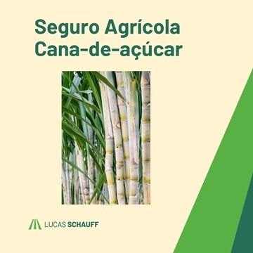 Capacitação em Seguro Agrícola Cana-de-Açúcar>