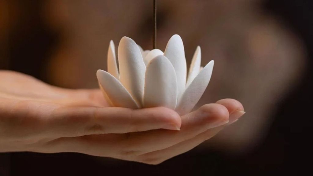 Meditación: Recupera tu Energía y Sánate. Pausa Mindfulness + BONUS