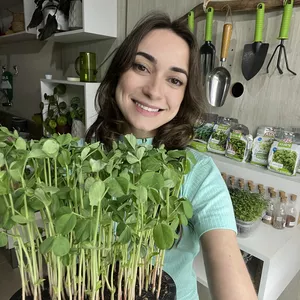 Imagem de capa para o Curso online Ebook Microverdes