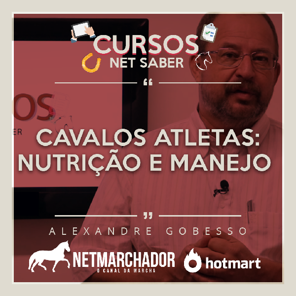 Capa do curso 