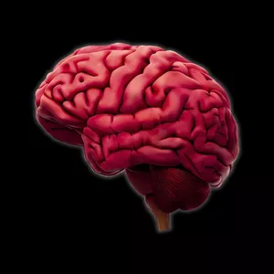 Imagen de portada para Curso online Reinicia Tu Mente