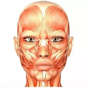 Imagem de capa para o Ebook Dicas Práticas de Aplicação de Toxina Botulínica