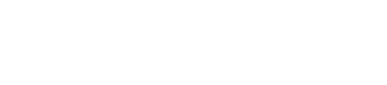 55secrets logo