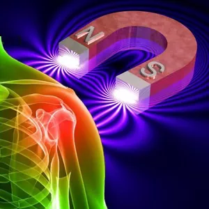 Imagen de portada para Curso online 𝐅𝐎𝐑𝐌𝐀𝐓𝐄 𝐄𝐍 𝐁𝐈𝐎𝐌𝐀𝐆𝐍𝐄𝐓𝐈𝐒𝐌𝐎 𝐈𝐍𝐓𝐄𝐆𝐑𝐀𝐋