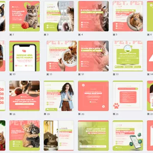 Imagem de capa para o Curso online PACK CRECHE PARA GATOS - DAYCARE