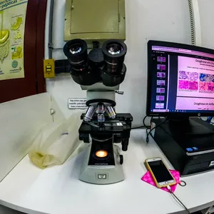 Imagem de capa para o Ebook Biologia - O Estudo Da Vida