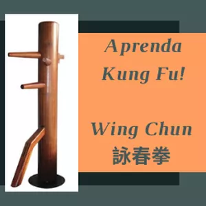 Imagem principal do produto Curso de formação em Wing Chun / Ving Tsun 詠春拳 2/8