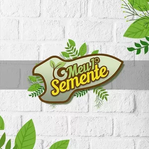 Imagem de capa para o Curso online Meu Primeiro Semente