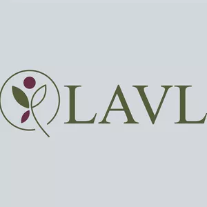 Imagem de capa para o Curso online JORNADA LAVL - Leve A Vida Leve