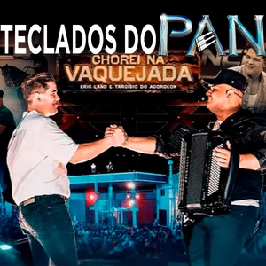 Imagem de capa para o Curso online TECLADOS DA MÚSICA - CHOREI NA VAQUEJADA