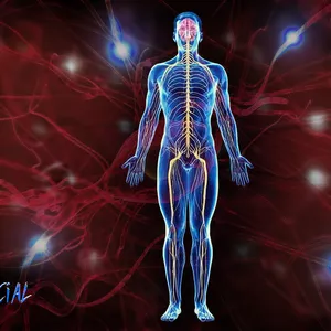 Imagen de portada para Curso online Nacer Y Morir