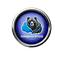 Salesforce Grizzly