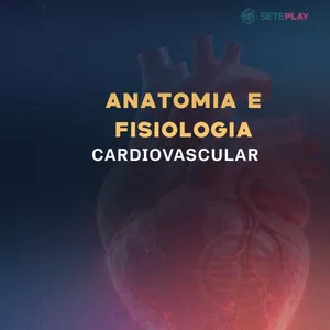 Imagem de capa para o Curso online Curso Anatomia e Fisiologia Do Sistema Cardiovascular