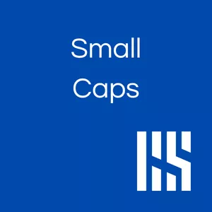 Imagem de capa para o Curso online RS Small Caps