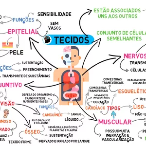Imagem de capa para o Ebook MAPA MENTAL - TECIDOS DO CORPO HUMANO