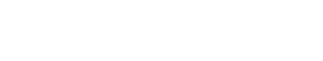 BVO Taekwondo Master Chong | Online logo