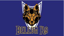 Bellum K9's Training System  logo