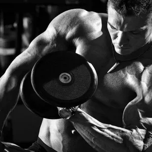 Imagem de capa para o Ebook Treinos fitness