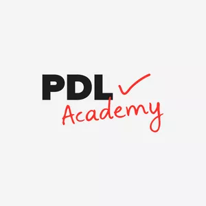 Imagem de capa para o Curso online PDL Academy